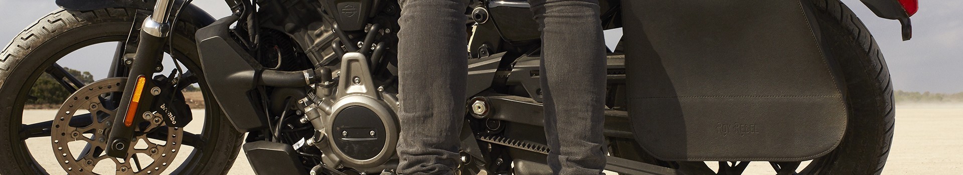 Motorcycle bag supports for Harley Davidson